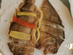 -骏莱海鲜鱼港(五角场店)