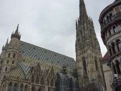 -斯蒂芬主教座堂(Stephansdom)