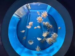 -郑州海洋馆