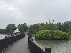 -大湾区中央湿地公园