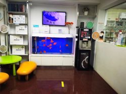 点击看大图 -圣瑞医疗上海圣恩儿科门诊部