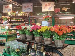 -阿姆斯特丹史基浦机场