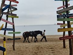-玫瑰海岸文化旅游度假区