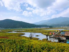-腾冲北海湿地
