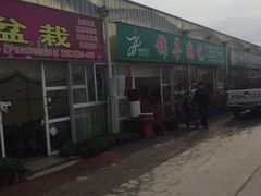 -龙大花卉苗木市场