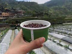-一杯黔茶(西江千户苗寨古街店)