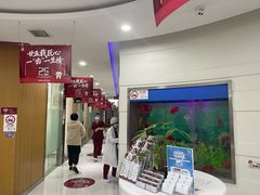 -雅悦齿科(顾村公园店)