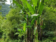 -黔灵山公园-南门售票处