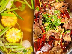 -今日炊牛·潮汕牛肉火锅(华采天地店)