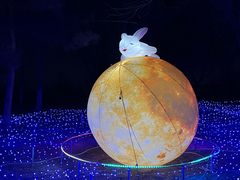 -青龙湖公园