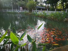 -国恩寺