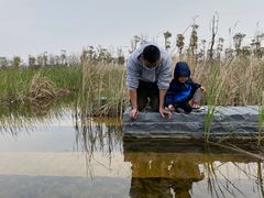 -春花秋色城市公园