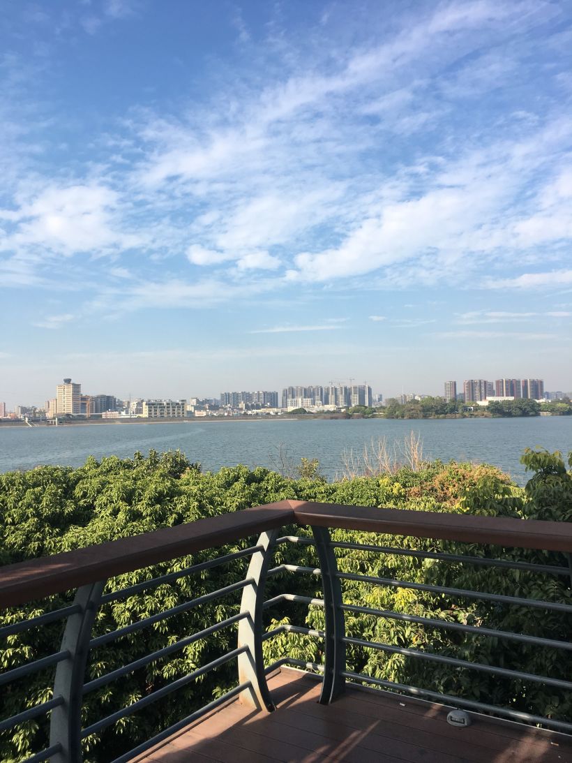 深圳福永公园图片