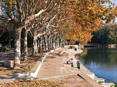 -泰州凤城河风景区-泰山公园