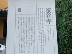 -灵谷景区