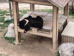 -石家庄市动物园