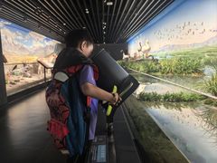 -四川大学博物馆