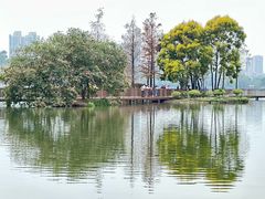 -海珠湖公园