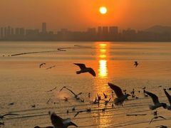 -大梅沙海滨公园