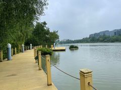 -华侨城湿地公园