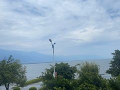 -野菌皇海景野生菌火锅(滨海大道店)