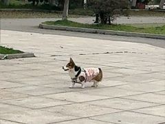 -南湖湿地公园