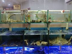 水产区-天伦海鲜·老味道·青岛菜(栈桥天主教堂店)