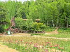 -宜兴龙背山森林公园