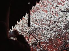 -钱王祠