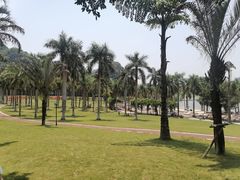 -南宁花花大世界景区