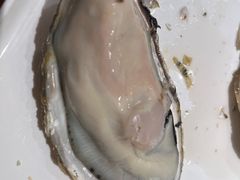 -杨氏青龙虾·羊蝎子(珠江路店)