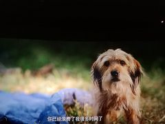 -百丽宫影城(嘉里汇店)
