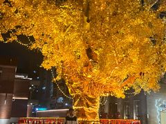 -郑州梵高星空错觉艺术馆(大上海城旗舰店)