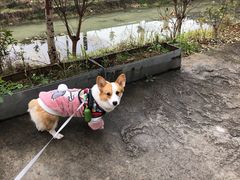 -崇阳三特浪口温泉