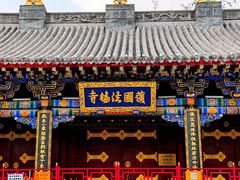 -护国法轮寺