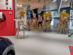 -TESLA 特斯拉(北京颐堤港体验店)