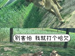 -北京野生动物园