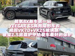 -车艺尚上海龙膜隐形车衣汽车贴膜旗舰店