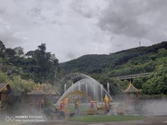 -西双版纳原始森林公园