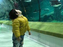 -福州罗源湾海洋世界旅游区