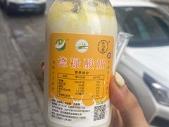 -德禄酸奶(莫家街店)