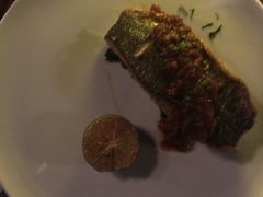 -WOLFGANG PUCK KITCHEN & BAR(迪士尼小镇店)