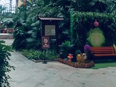 -郑州银基黄帝宫御温泉