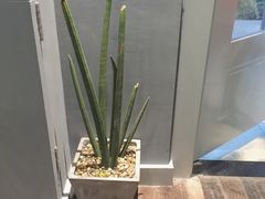 -也枫·小黄楼(南山路旗舰店)