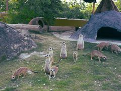 -泉州海丝野生动物世界