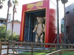 -济州岛泰迪熊博物馆