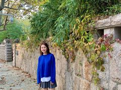 -八大关景区