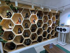 -北京天域联达耳机店(财智国际大厦店)