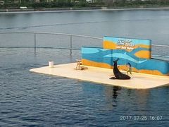 -秦皇岛乐岛海洋王国