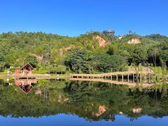 -神光山国家森林公园